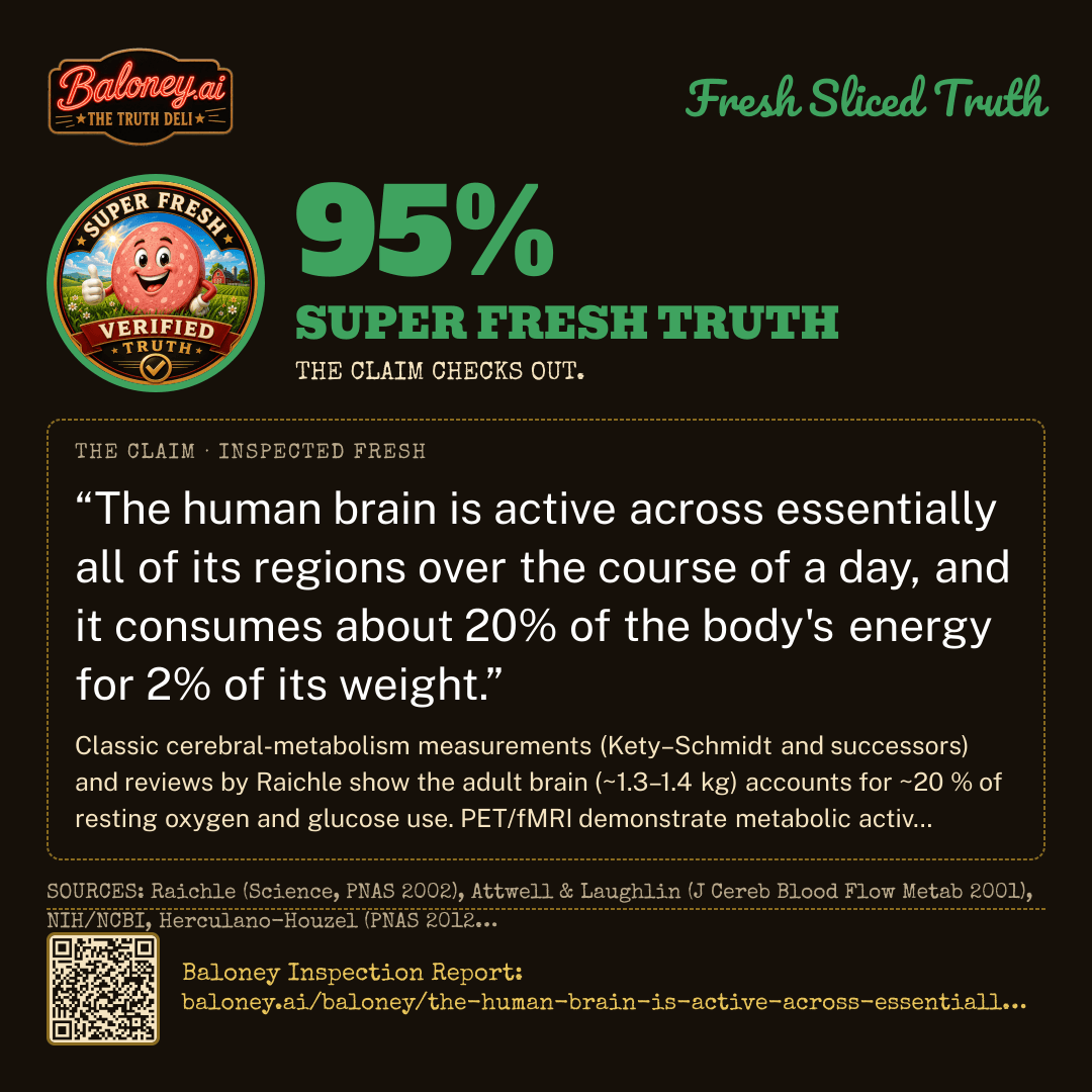 The corrected truth: People use essentially all major brain regions over time for movement, sensation, language, memory, emotion and planning.. Read its Inspection Report.